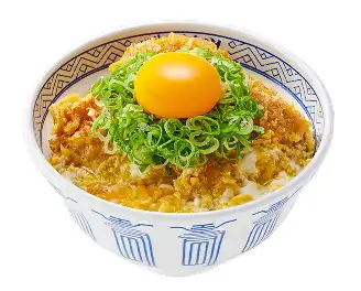 ねぎ玉ヒレカツ丼